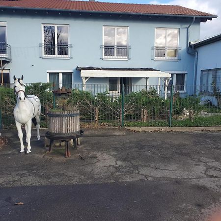 Grosse 3 Zi Wohnung Auf Der Pferde Farm ลาร์ ภายนอก รูปภาพ